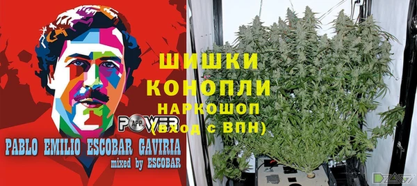 индика Алексеевка