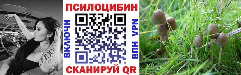 Псилоцибиновые грибы MAGIC MUSHROOMS  blacksprut ссылки  Александровск 